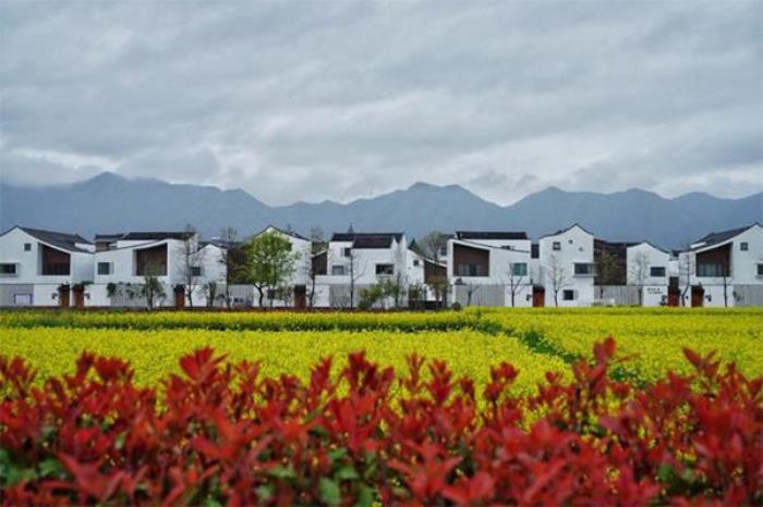 富陽(yáng)東梓關(guān)村旅游攻略一日游