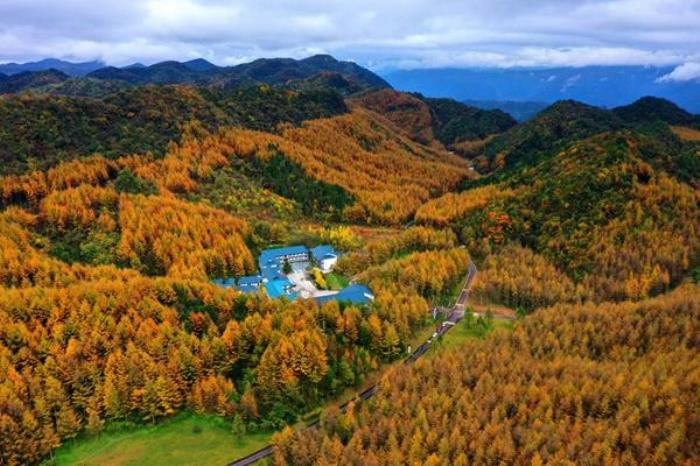 曾家山紅葉觀賞時間2023