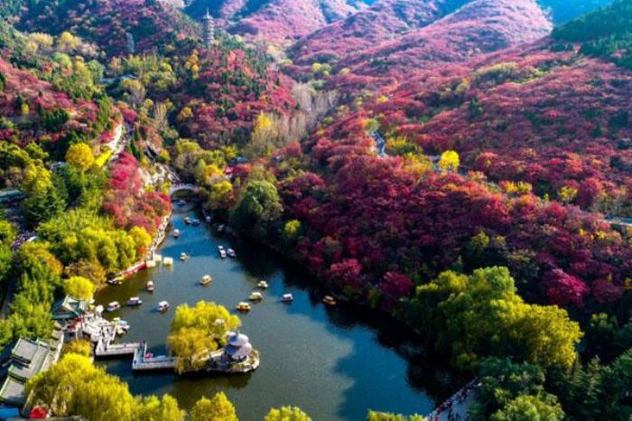2022濟(jì)南紅葉谷的紅葉最佳觀賞時(shí)間及地點(diǎn)
