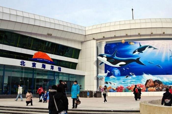 太平洋海底世界和北京海洋館哪個好玩