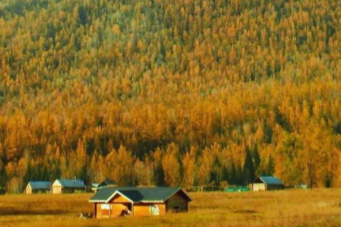 北疆秋天旅游攻略景點(diǎn)推薦