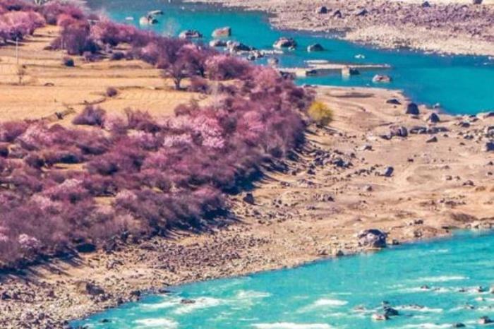 2022林芝桃花節(jié)自駕路線(xiàn)攻略