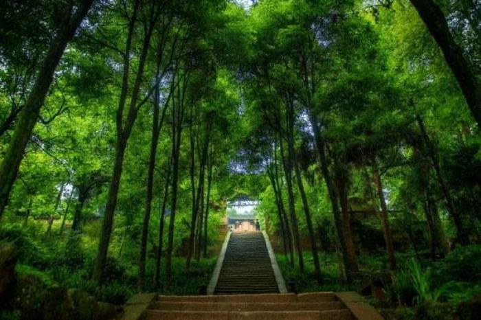 青城山有什么好玩的旅游景點