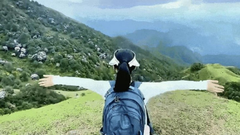 不到雞籠頂，枉為廣東人！原來，中國絕美的高山草原杜鵑花海在這里
