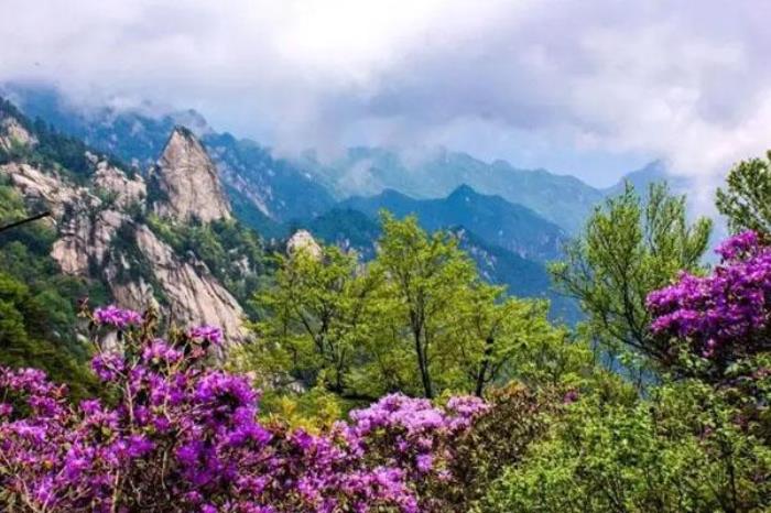 平頂山堯山風(fēng)景區(qū)游玩攻略 附最佳路線推薦