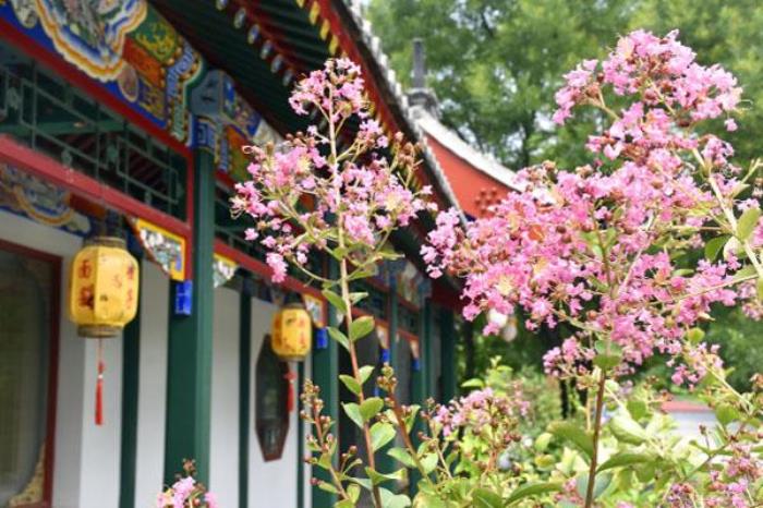 2022國(guó)家植物園游玩指南 附開(kāi)放時(shí)間及門(mén)票價(jià)格