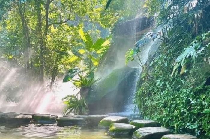 萬石植物公園在廈門哪里啊