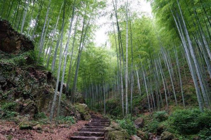 宜興竹海適合幾月份去 什么時候去最好