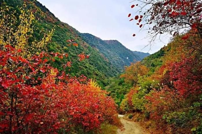 北京賞紅葉十大絕佳去處