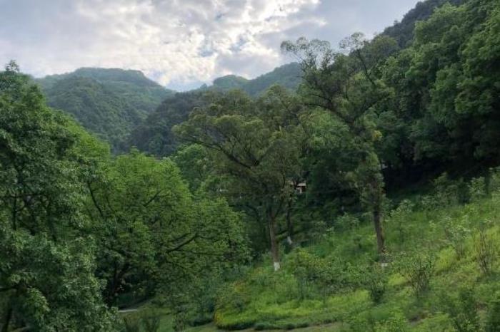 磁器口古鎮(zhèn)周邊景點(diǎn)有哪些