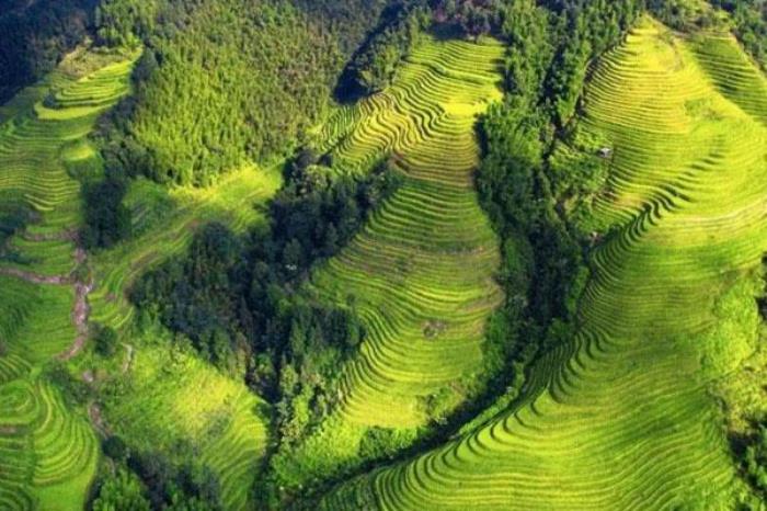 桂林龍脊梯田幾月份去最好 2024最佳旅游時間