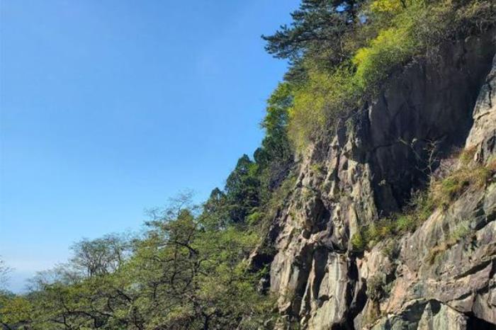 泰山在哪里?詳細(xì)地址是哪兒?