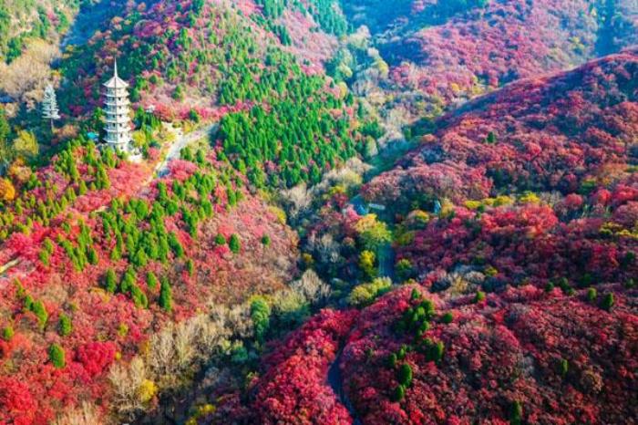 2023濟南紅葉谷最佳旅游時間