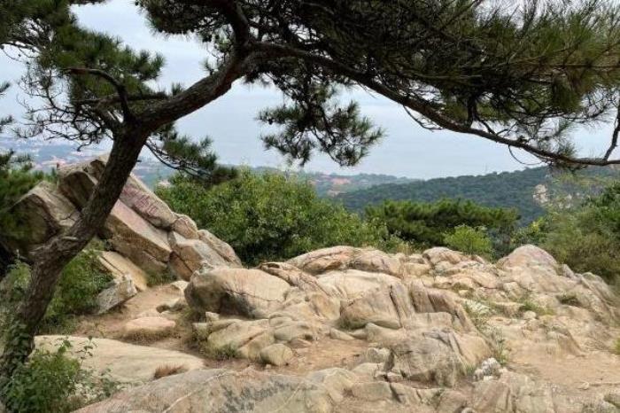 2022北戴河聯峰山公園開放時間
