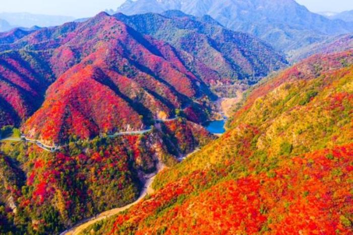 王屋山紅葉什么時間好看2023