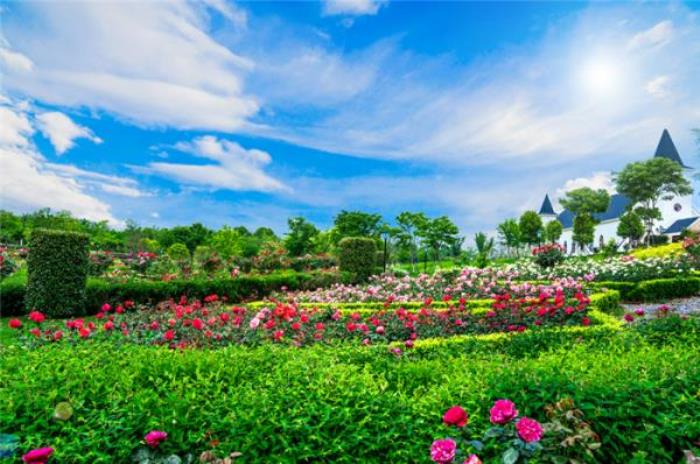 咸寧蜜月灣玫瑰園