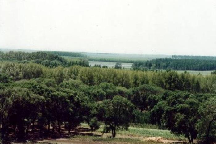 青松山雞狩獵場(chǎng)