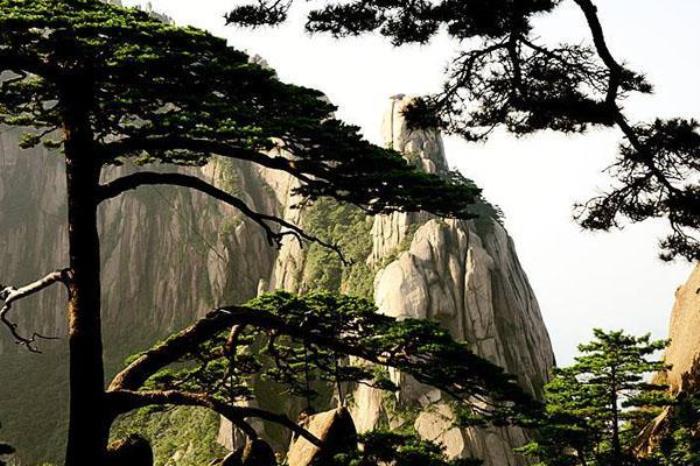 青松山雞狩獵場(chǎng)