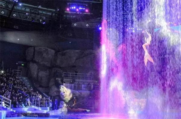 蕪湖新華聯大白鯨海洋公園