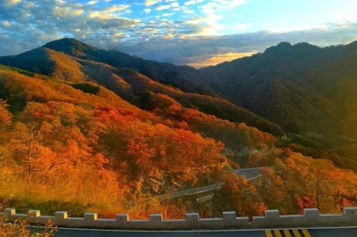 馬鬃嶺