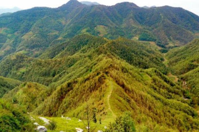 朝陽臥虎嶺