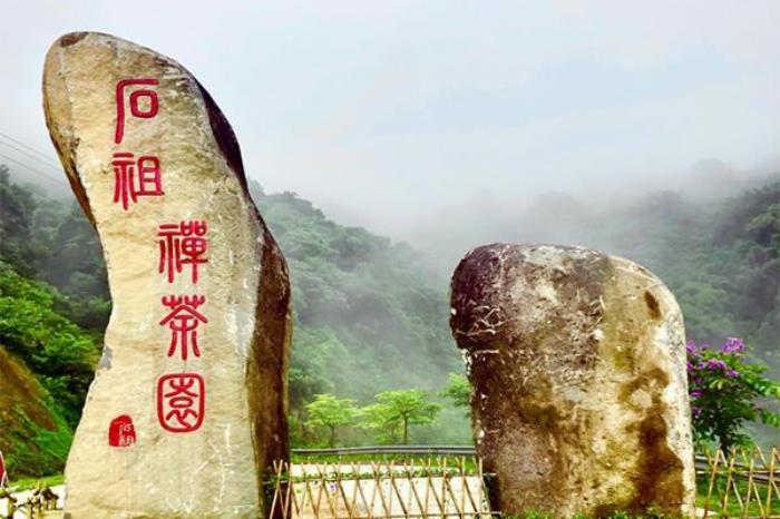 石祖禪茶園