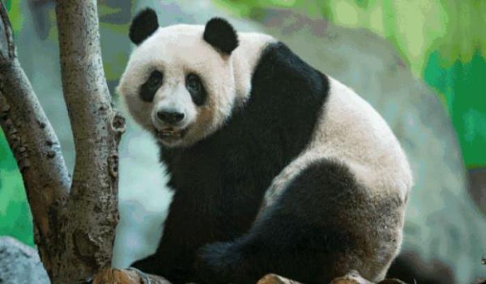 泉城歐樂堡動物王國