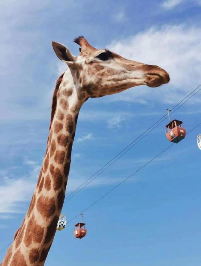 泉城歐樂堡動物王國