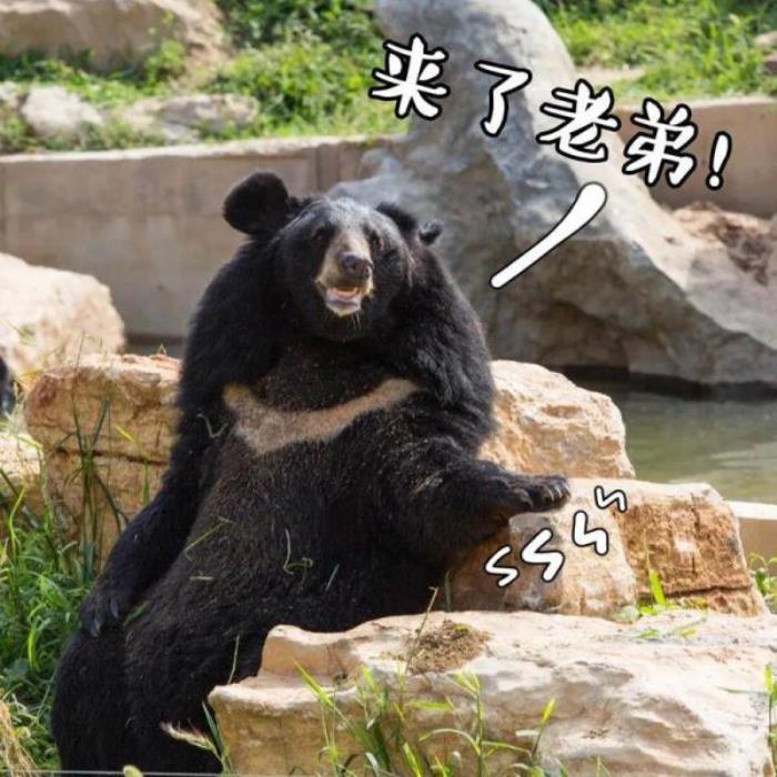 泉城歐樂堡動物王國