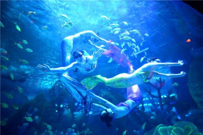 永泰歐樂堡海洋世界