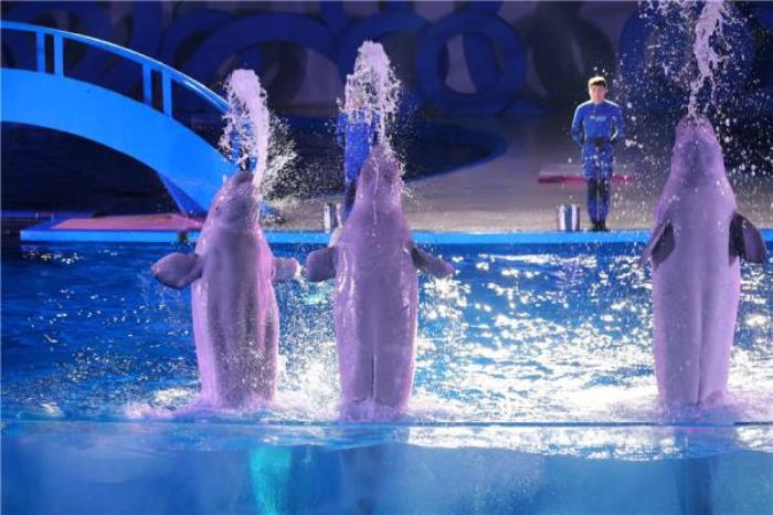 永泰歐樂堡海洋世界