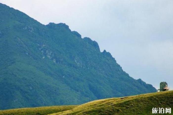 曲靖會澤大海草山
