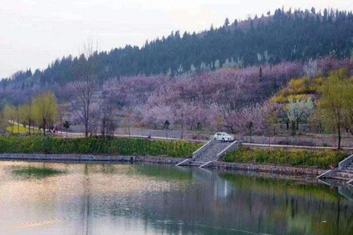 梅山森林公園