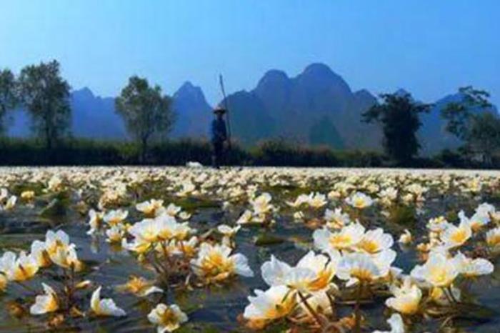 澄江國家濕地公園