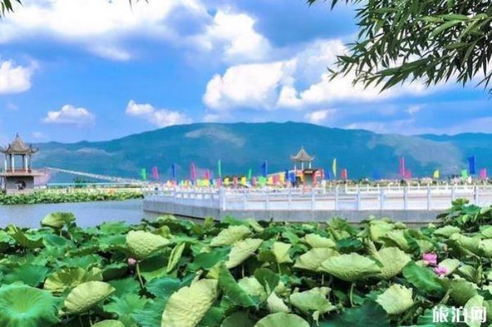 陸良白水塘