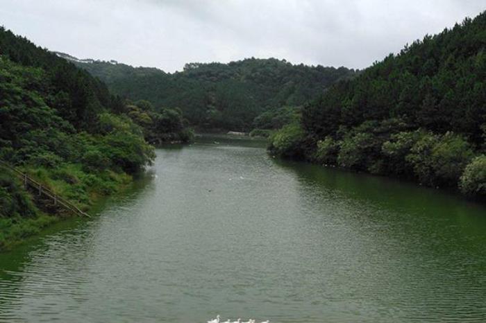 欽州綠蘆山