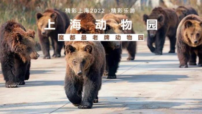 2022《精彩上海》旅游聯票