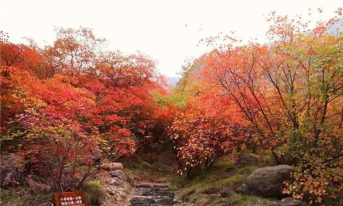 咸陽鄭國渠風景區