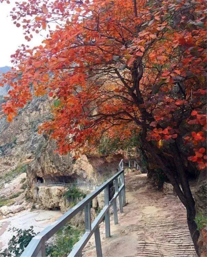 咸陽鄭國渠風景區