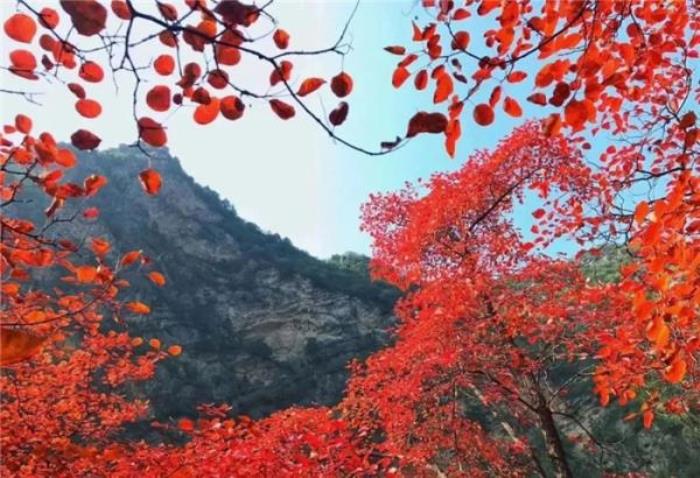 咸陽鄭國渠風景區