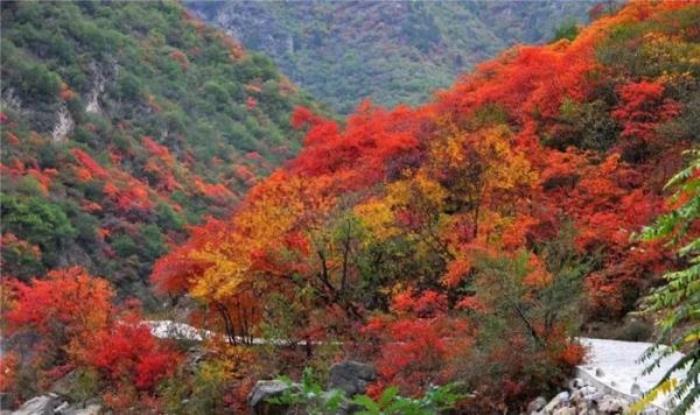 咸陽鄭國渠風景區