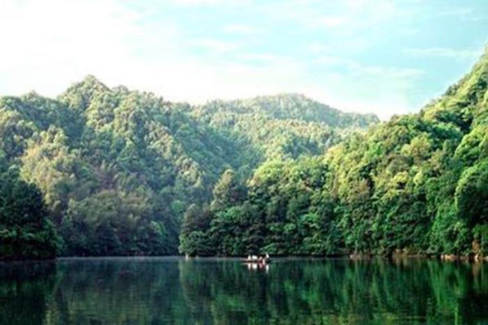 娑羅山森林公園