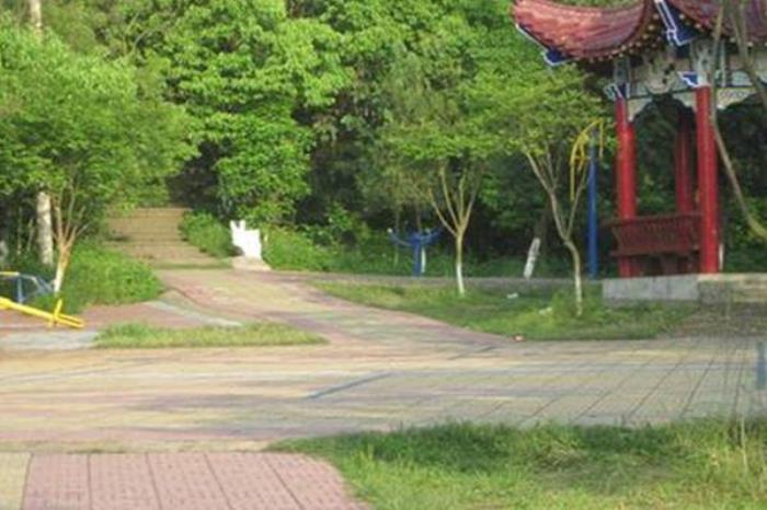 蒙崗嶺森林公園