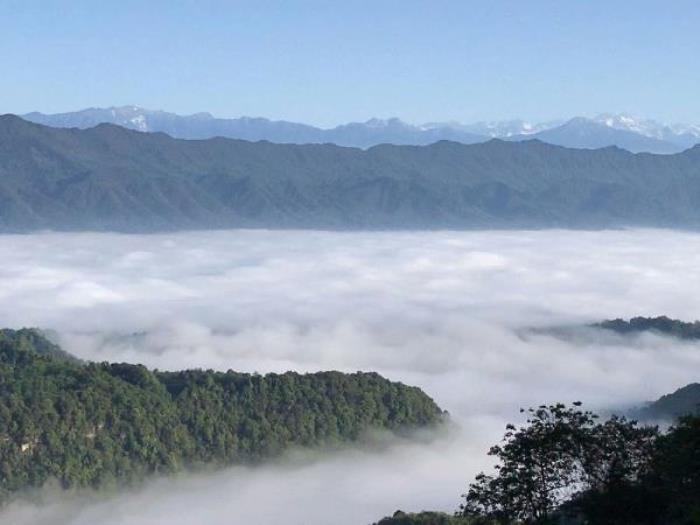 雅安蒙頂山