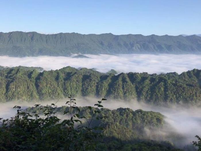 雅安蒙頂山