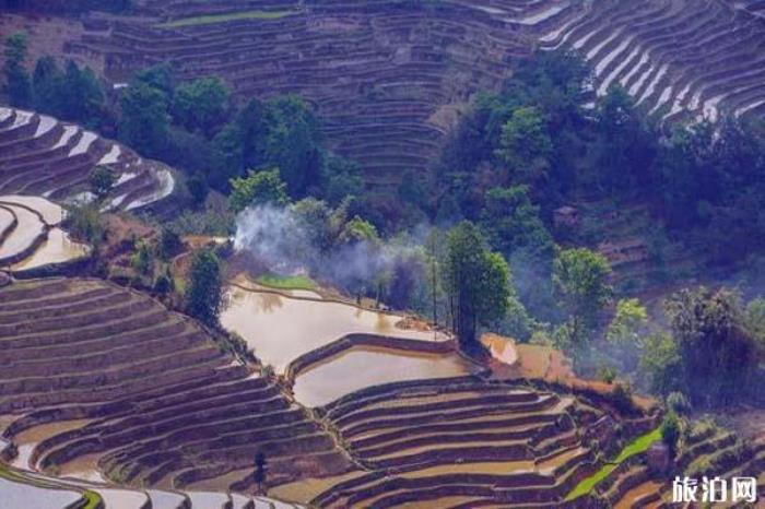 元陽哈尼梯田景區