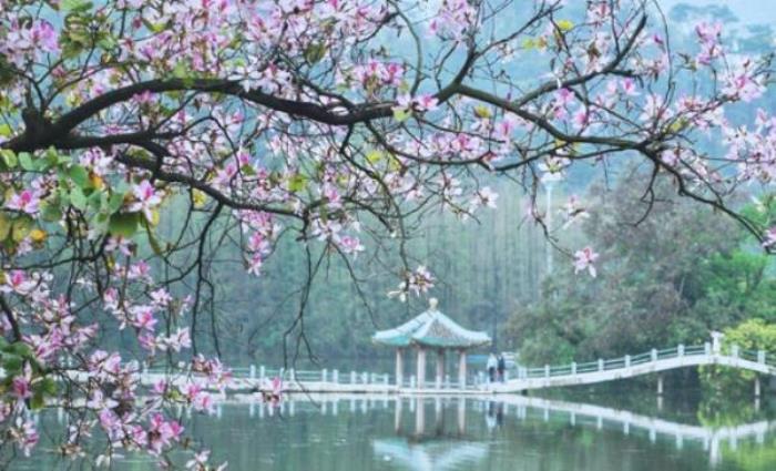 星湖旅游景區(qū)