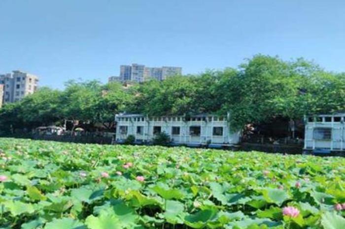 梧州潘塘公園