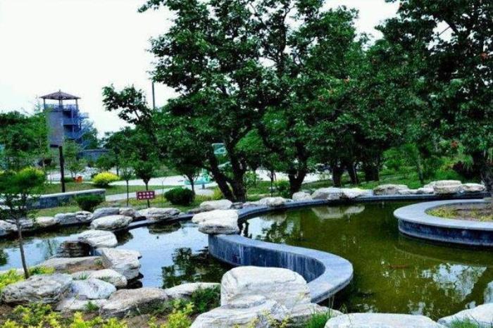 巢父生態園