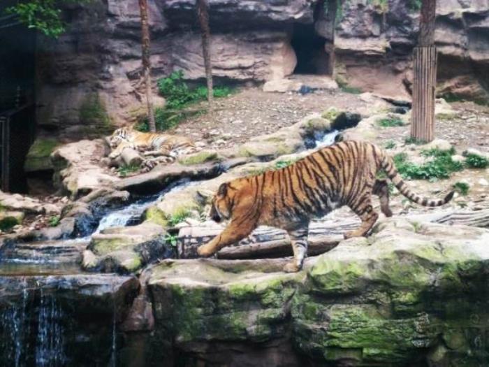 碧峰峽野生動物園